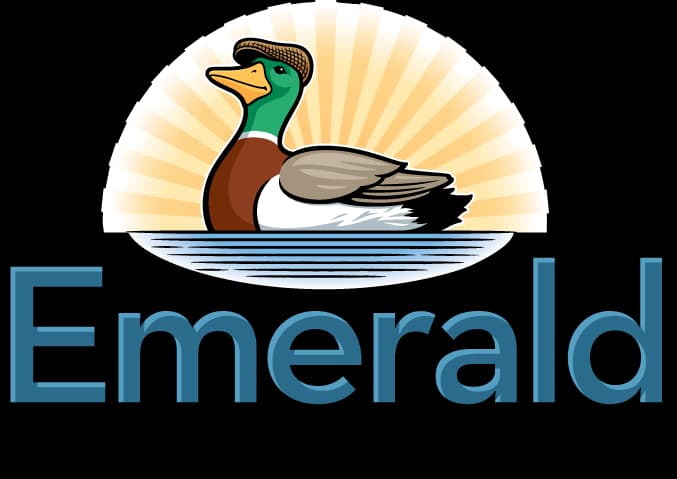 logo image