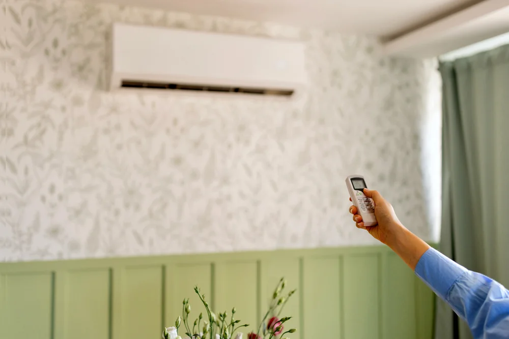 Ductless AC in East Amherst Home
